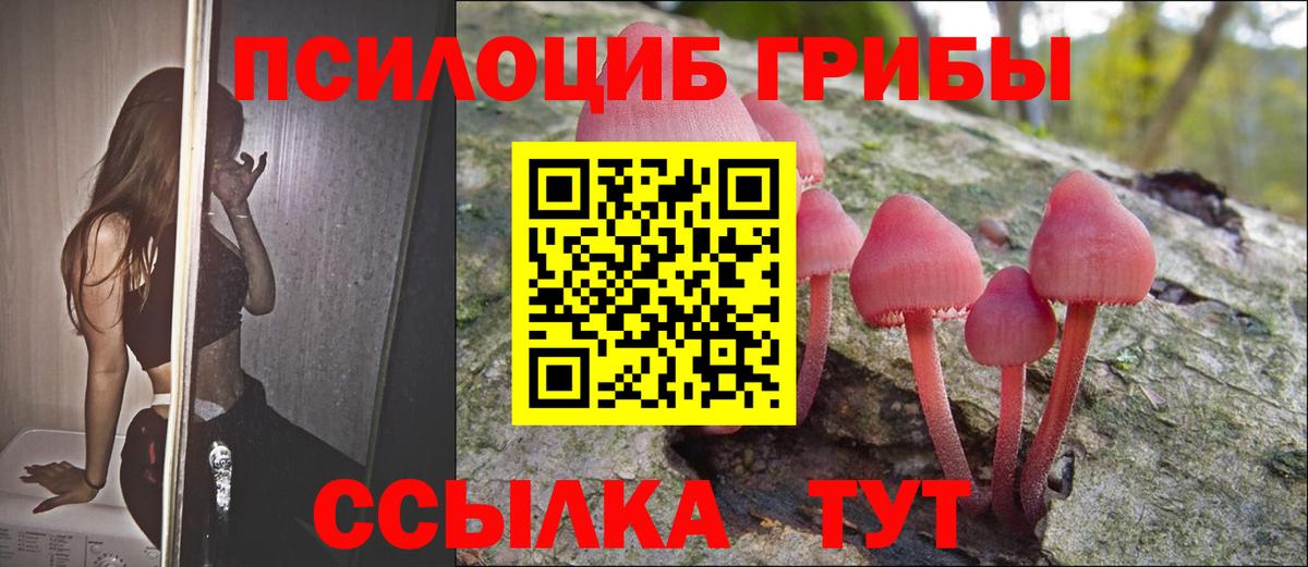 Псилоцибиновые грибы ЛСД Жуковский
